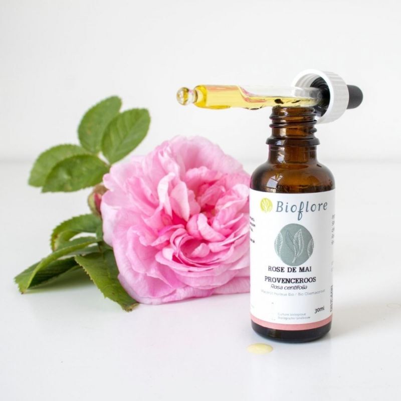 Macérât solaire de Rose de mai dans de l'huile de jojoba bio